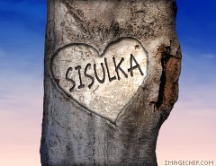 sisulka